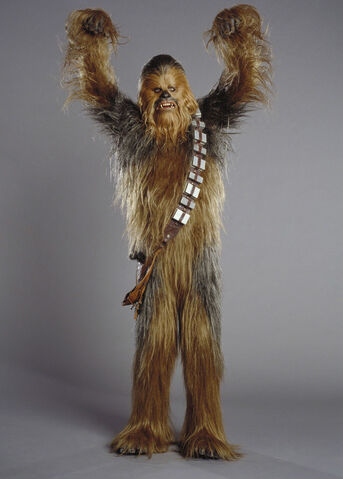 Fil:Chewie01234.jpg