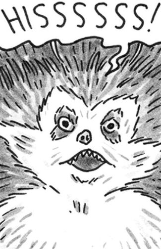 File:Hissing Voorpee.jpg