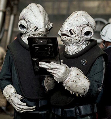 File:White Calamari.png