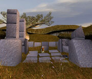 AncientGrove.jpg