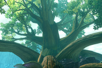 Zedalus Tree