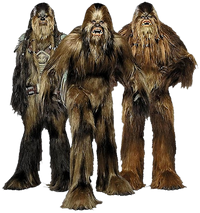 Wookiees-Transparent