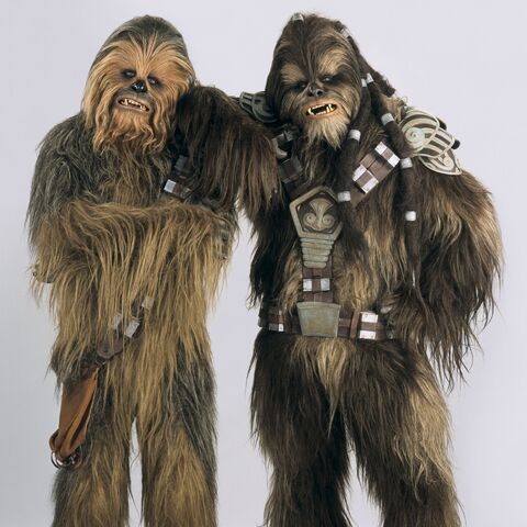File:Wooky.jpg
