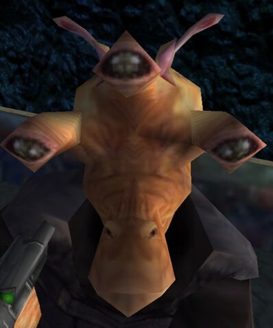 File:Iseeya Yado.jpg