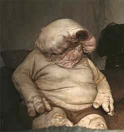 Droopy sitting.jpg