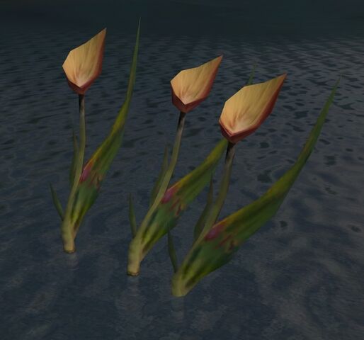 File:Sapflowers.jpg