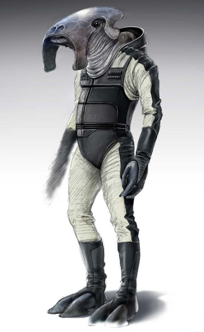 File:Selkath concept.png