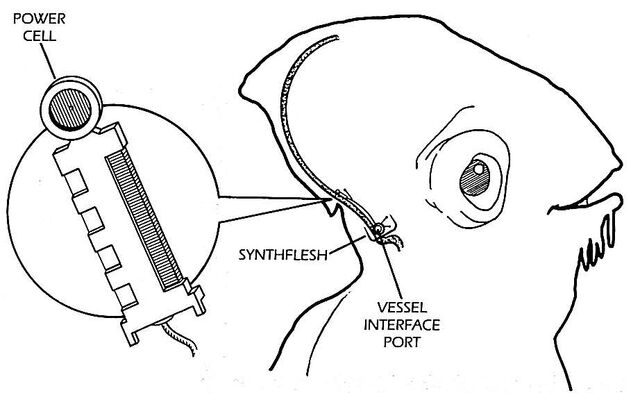 File:Swift 78B.jpg