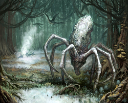 Knobby White Spider BTS