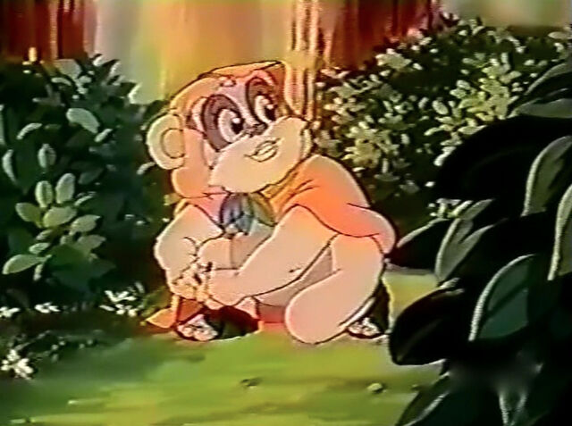 File:Kneesaa leaf shoes.jpg