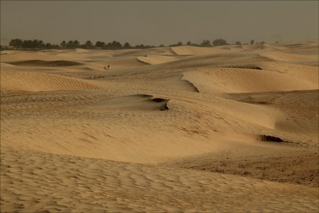 File:2481x900y900.jpg