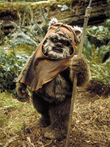 Файл:Wicket RotJ.png