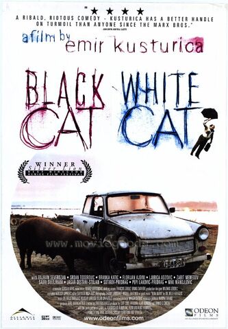 File:BlackCatWhiteCat.jpg