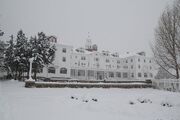 1024px-Stanley in Snow