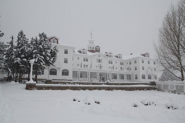 File:1024px-Stanley in Snow.jpg