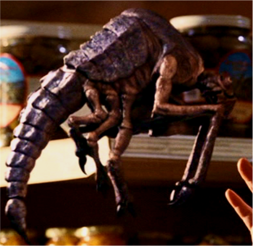 File:Scorpion-Fly.png