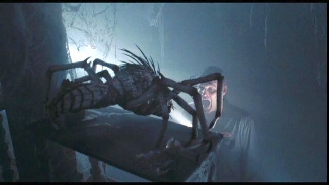 File:Jim+Spider.jpg