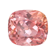 Paddyirlgem