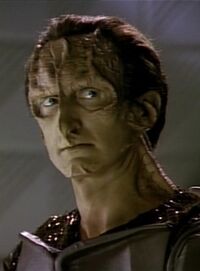Daro (The Wounded)