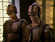 Hunter Array