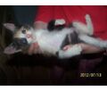 Thumbnail for version as of 22:00, September 30, 2012