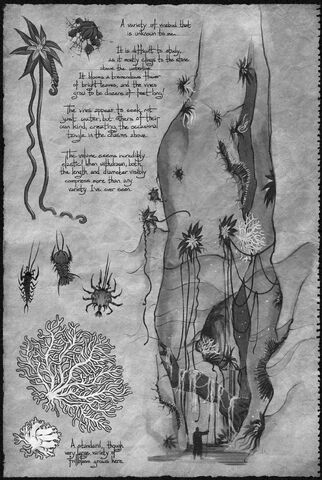 File:Sketchbook chasmlife.jpg
