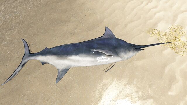 File:Marlin on land.jpg