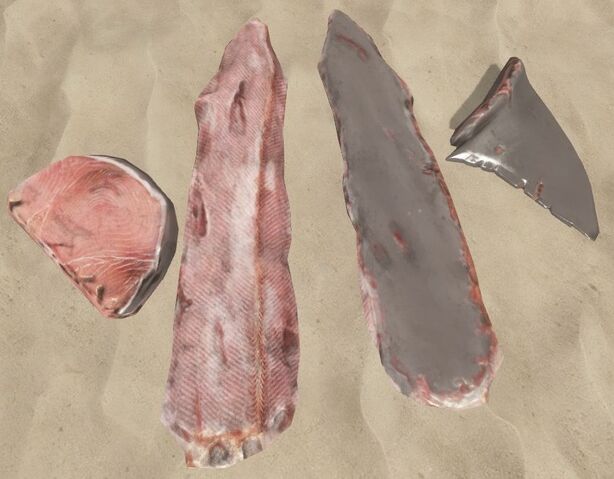File:Shark meat.jpg