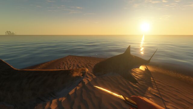 File:Romantic sharks.jpg