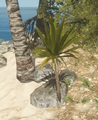 Thumbnail for version as of 11:31, January 24, 2015