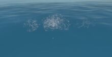 Bubbles
