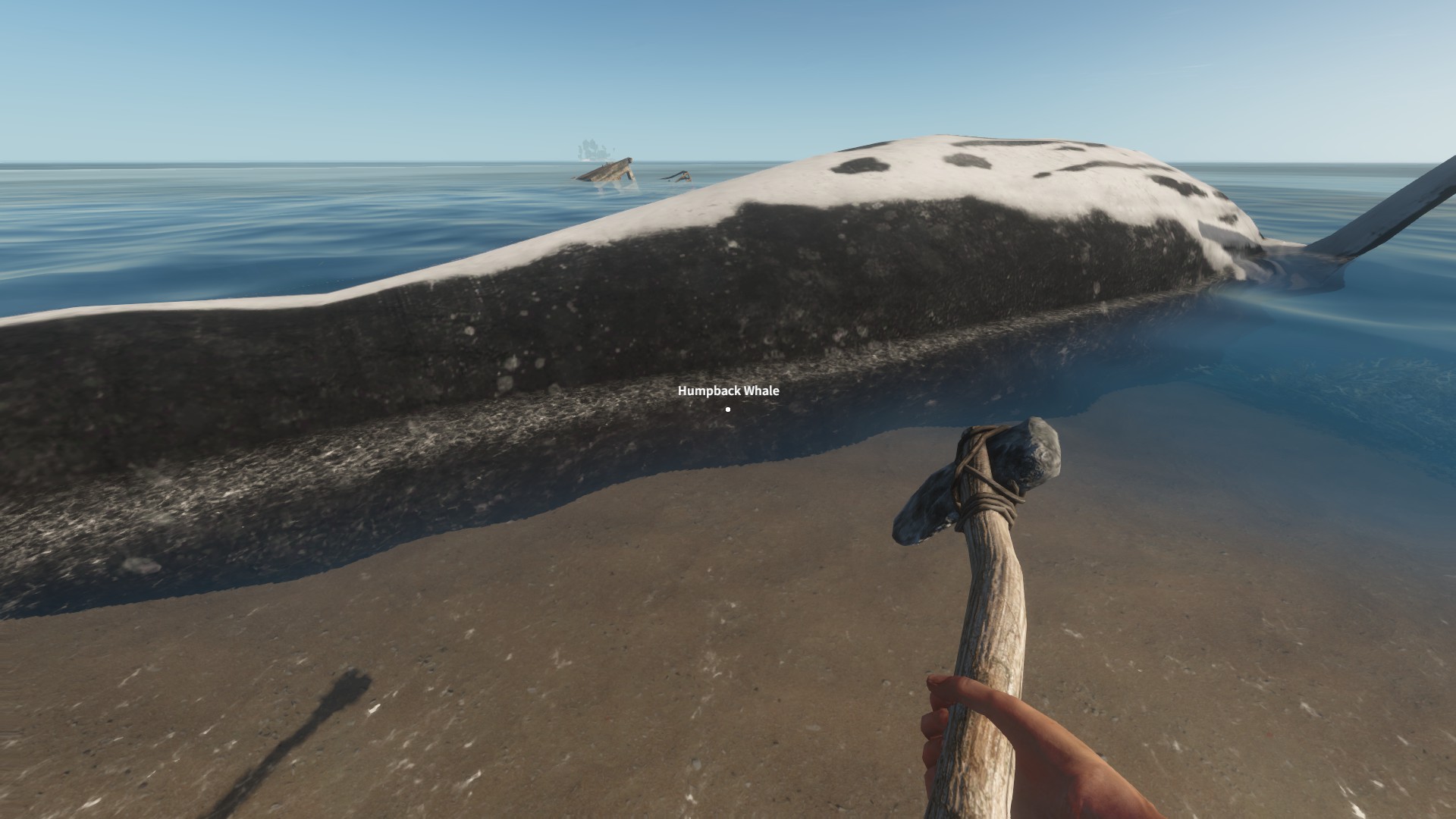Image - 2015-02-01 00016.jpg | Stranded Deep Wiki | FANDOM