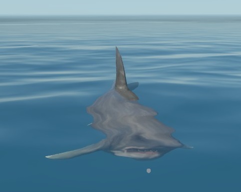 File:Great White.jpg