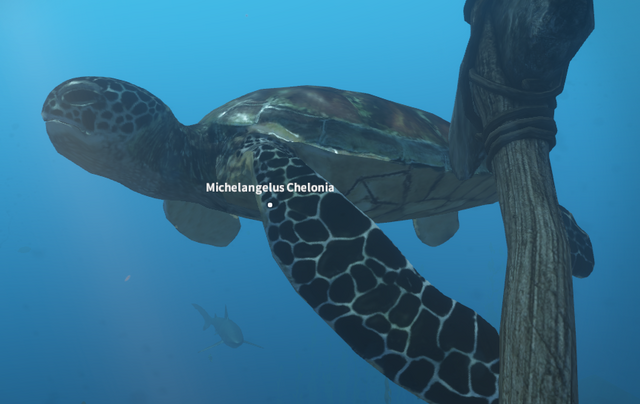 File:Turtle.png