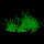 File:Gras01.png