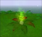 PoisonPlant