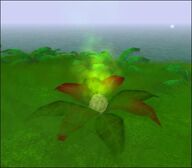 PoisonPlant