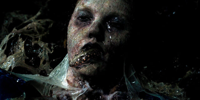 File:1x07 – Barb slug.jpg