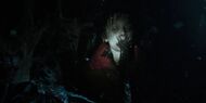 WillUpsideDown