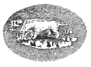 Fratello
