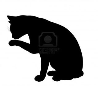 Cat Siloette