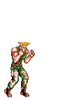 Guile-mini-slashkick
