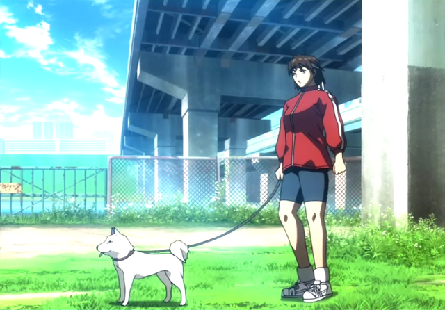 File:Sakura SSFVI.png