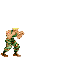 File:Guile's Flash Kick.gif