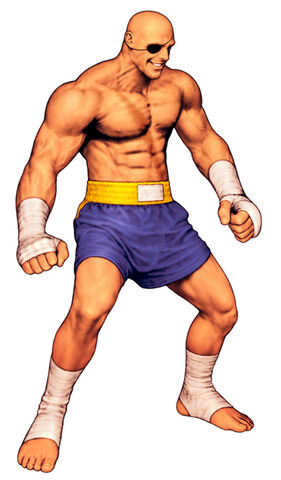 File:Sagat-full-cvs2.jpg