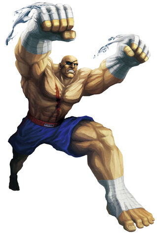 File:Sagat sfxt.jpg