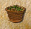 Hopfen