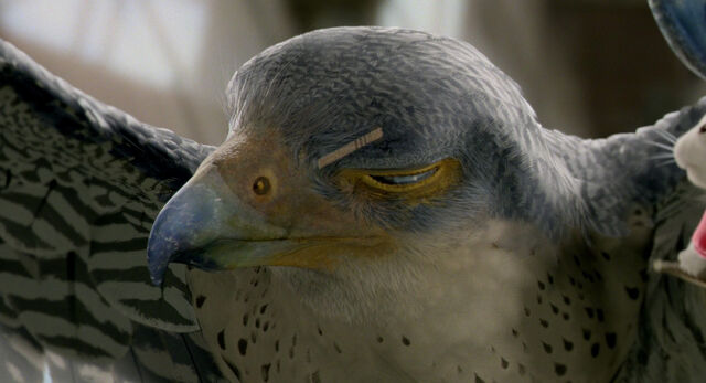 File:Stuart-little2-disneyscreencaps com-5921.jpg