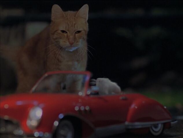 File:Where ya goin' Murray.jpg