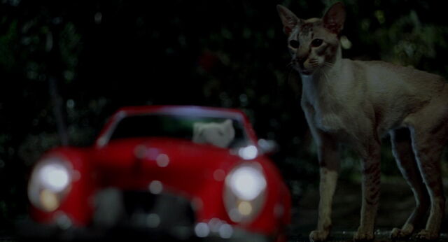 File:Stuart-little-disneyscreencaps com-7142.jpg